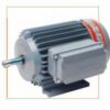 MOTOR CZERWENY BL BP 1 HP 1500 RPM A80CP4D